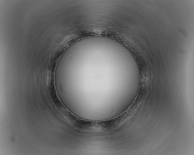 X0000113530656200910091224