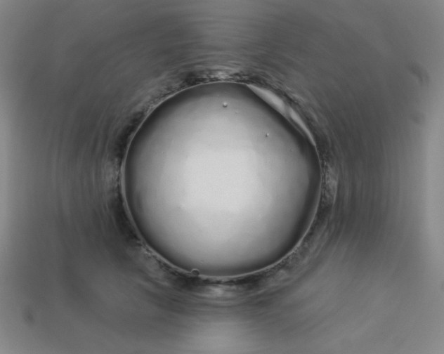 X0000113530657200910091224