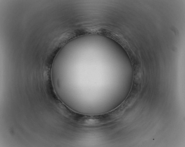 X0000113530658200910091224