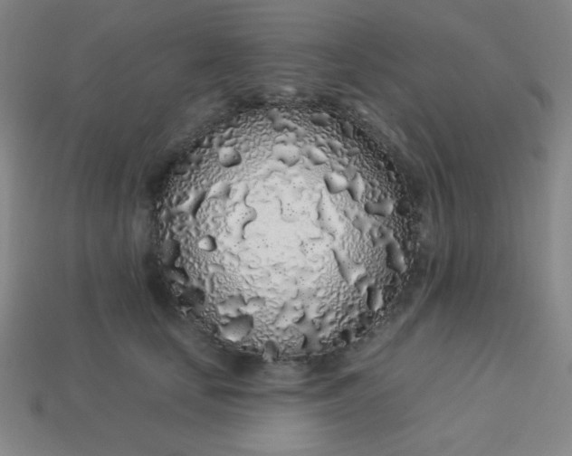 X0000113530659200910091224