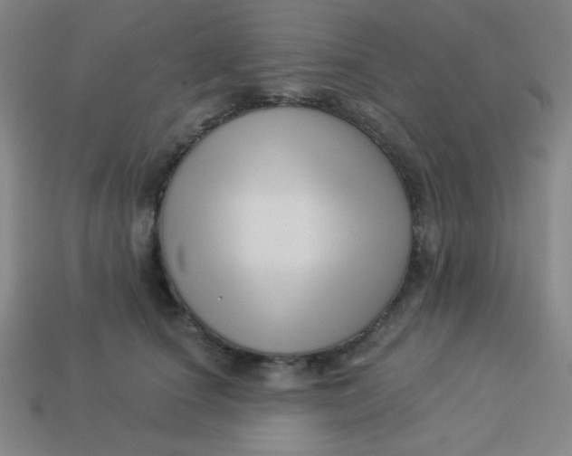 X0000113530660200910091224