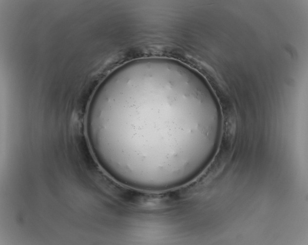 X0000113530661200910091224