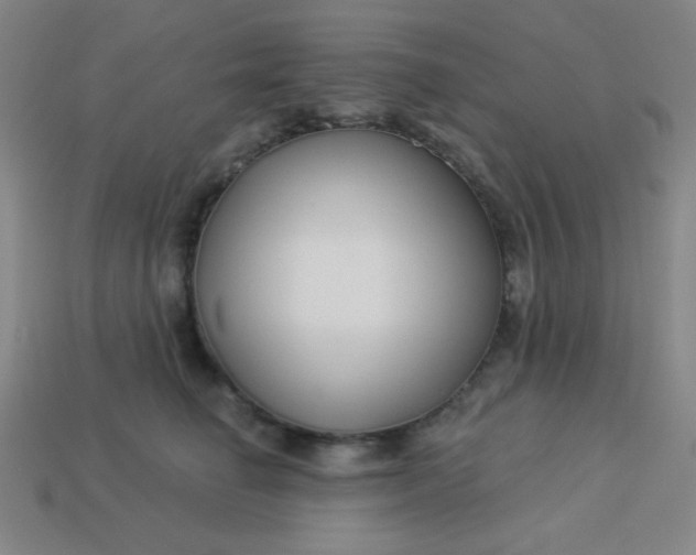 X0000113530662200910091224