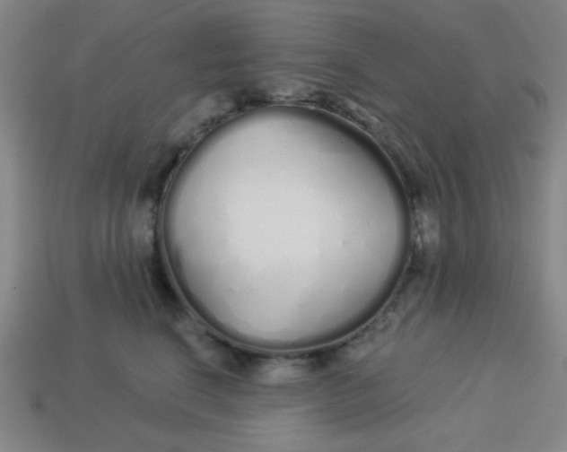 X0000113530664200910091224