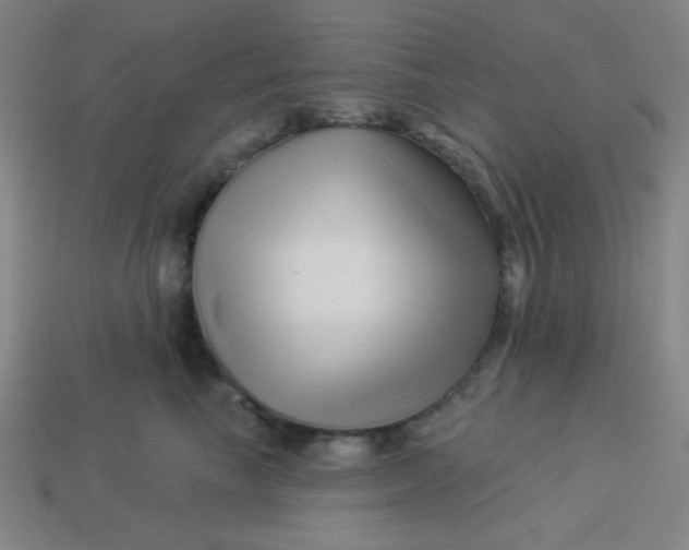 X0000113530665200910091224