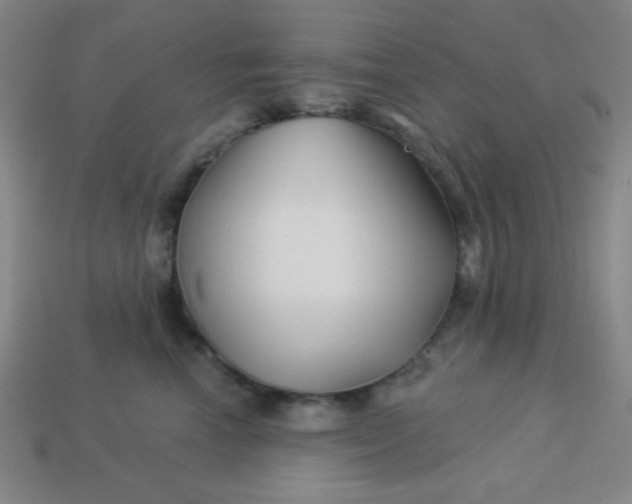 X0000113530666200910091224