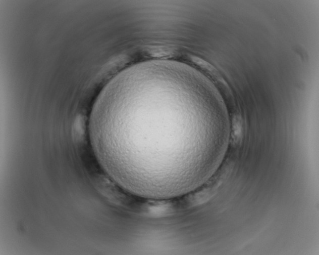 X0000113530667200910091224