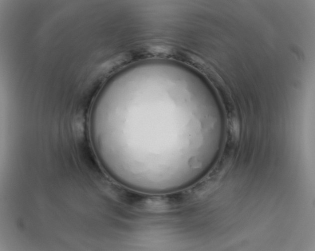 X0000113530668200910091224