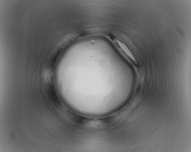 X0000113530669200910091224