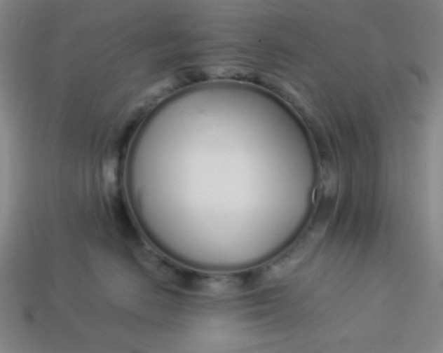 X0000113530670200910091224