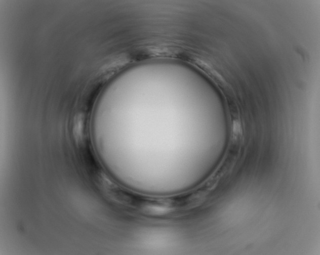 X0000113530671200910091224