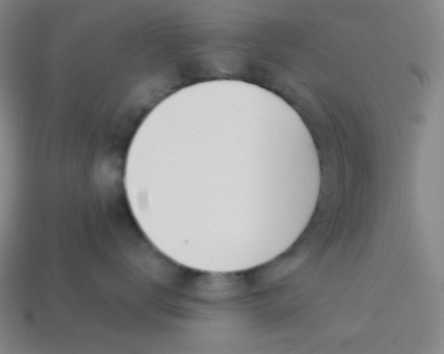 X0000113530672200910091224