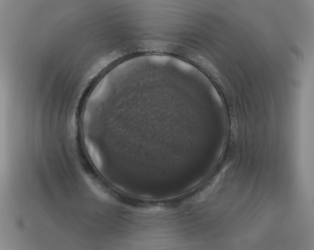 X0000113530674200910091223