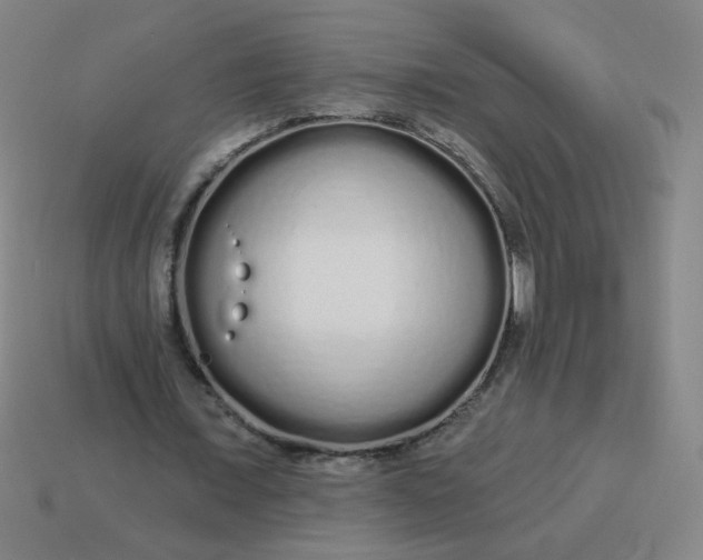 X0000113530675200910091223