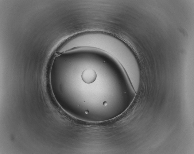 X0000113530676200910091223