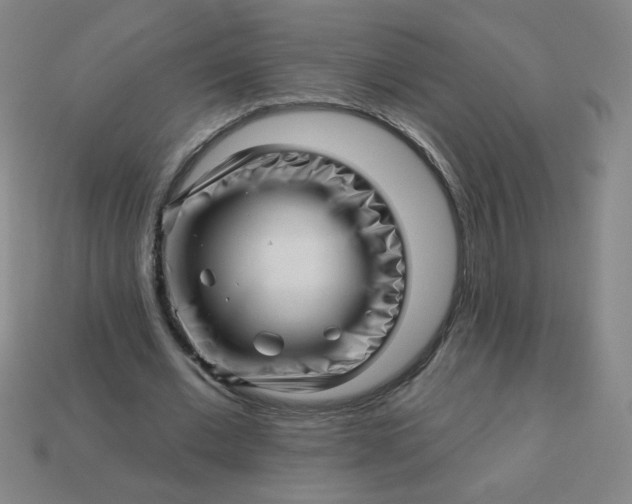 X0000113530677200910091223