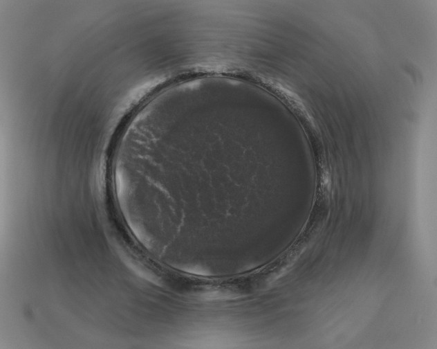 X0000113530678200910091223