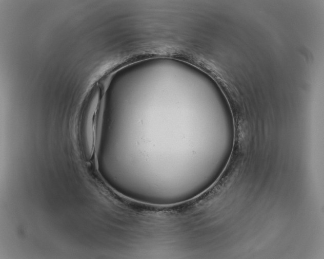 X0000113530679200910091223