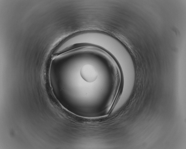 X0000113530680200910091223