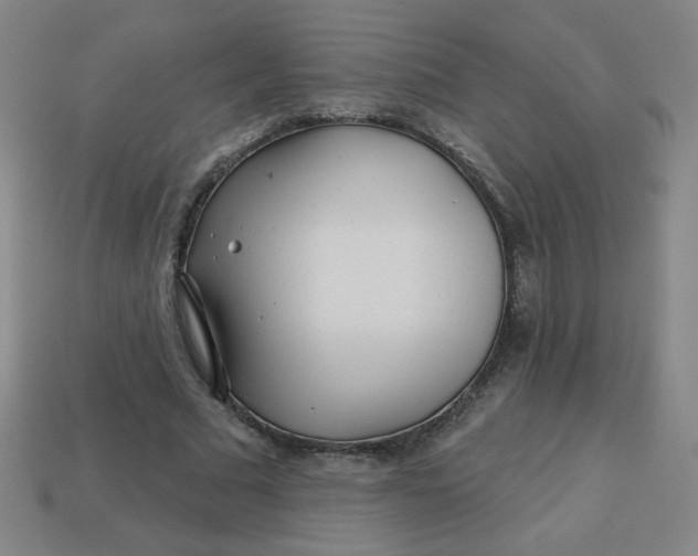 X0000113530681200910091223