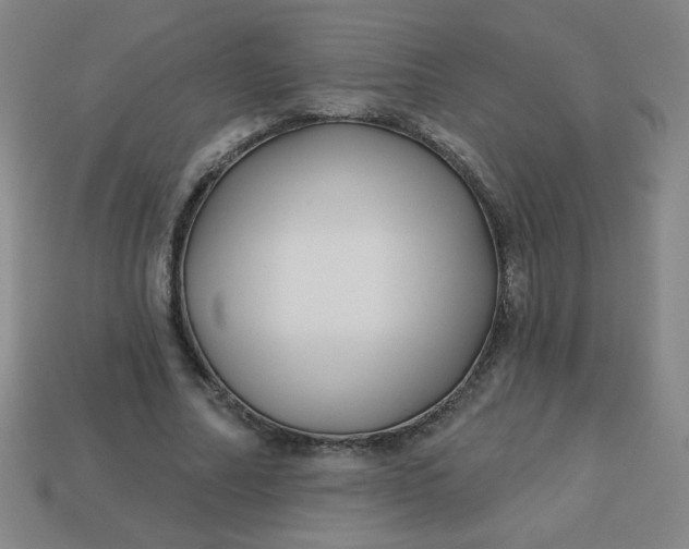 X0000113530682200910091223