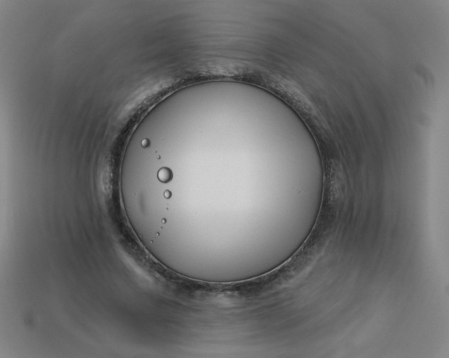 X0000113530683200910091223