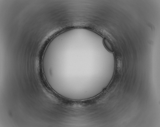 X0000113530684200910091223