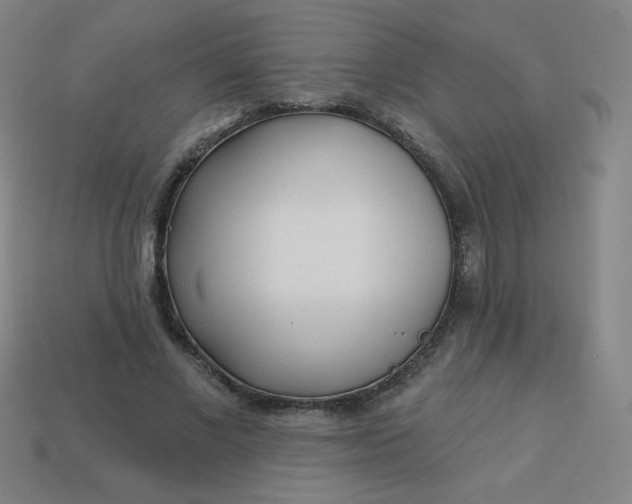 X0000113530685200910091223