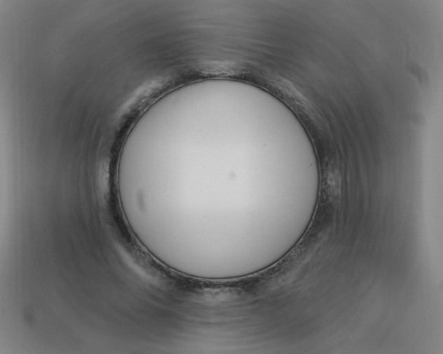 X0000113530686200910091223