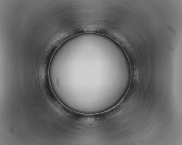 X0000113530687200910091223