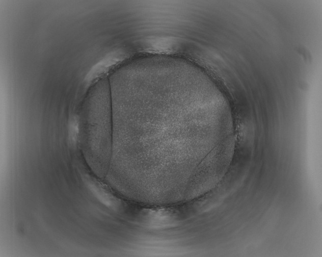 X0000113530688200910091223