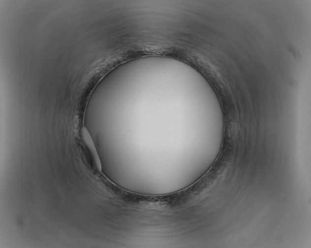 X0000113530689200910091223