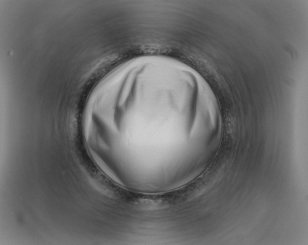 X0000113530690200910091223