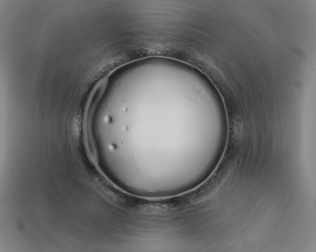 X0000113530691200910091223