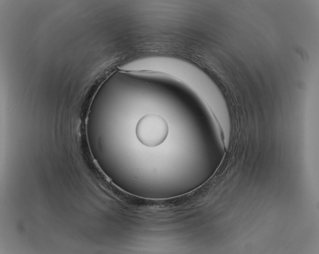 X0000113530692200910091223