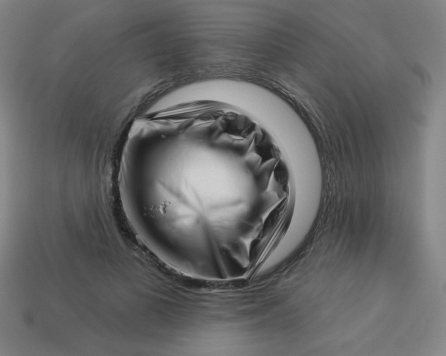 X0000113530693200910091223