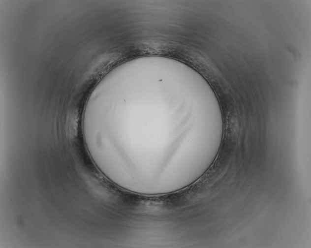 X0000113530694200910091223