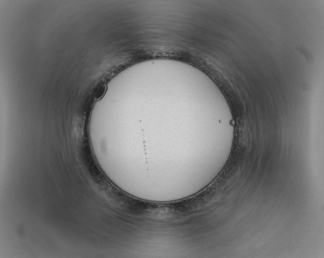 X0000113530695200910091223