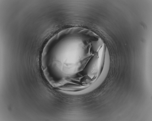 X0000113530696200910091223