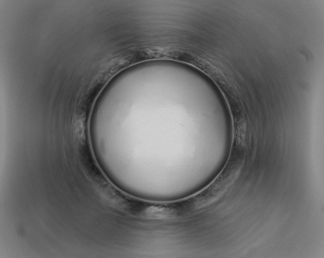 X0000113530699200910091223