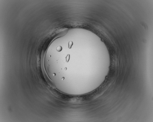 X0000113530700200910091223