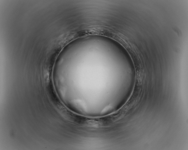 X0000113530703200910091223