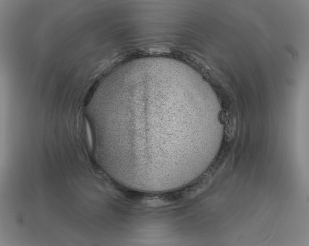 X0000113530704200910091223