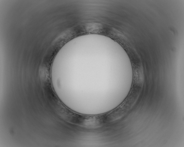 X0000113530705200910091223