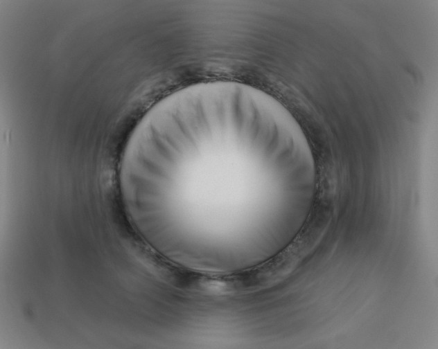 X0000113530706200910091223