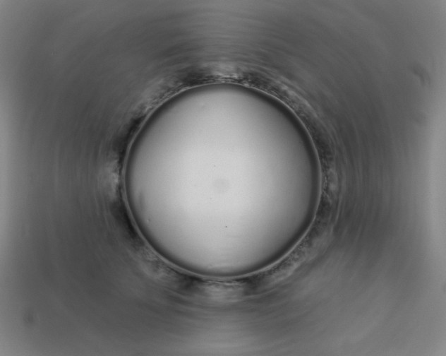 X0000113530707200910091223