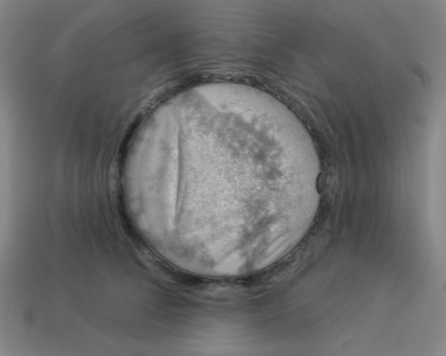 X0000113530708200910091223