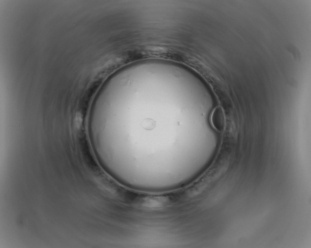 X0000113530711200910091223