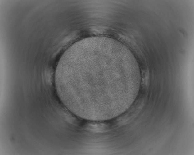 X0000113530712200910091223