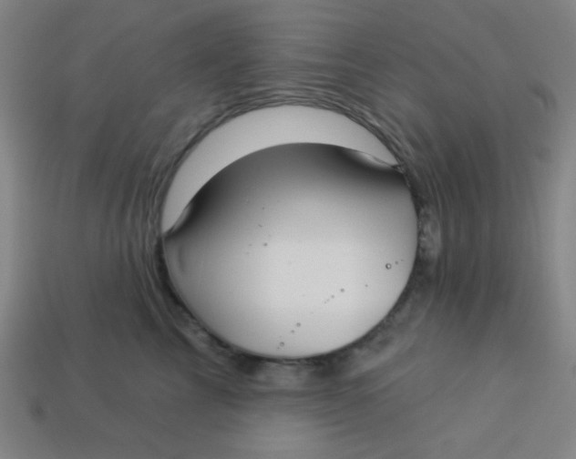 X0000113530713200910091223